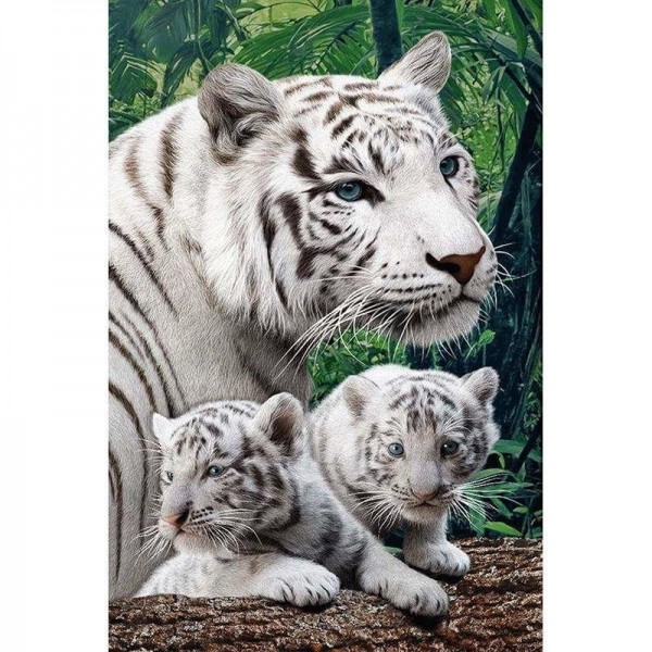 Adorable White Tiger Family - 5D Diamond Art