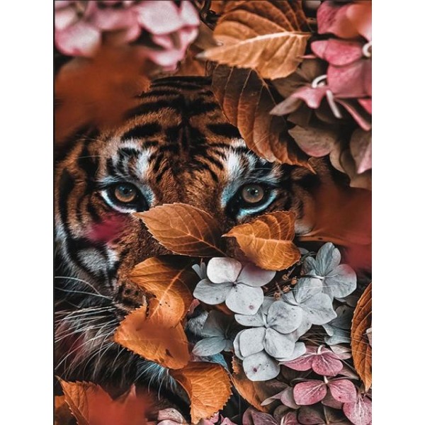 Tiger Stare - Painting Kit