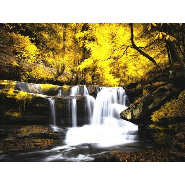 Yellow Trees - Water Stream - Painting