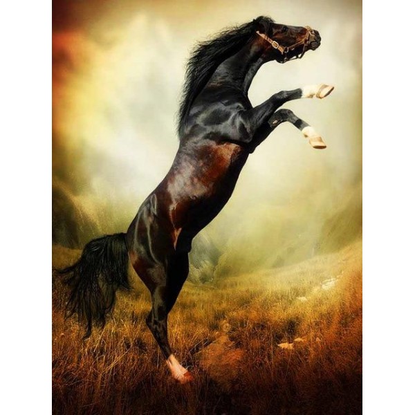 Rearing Black Horse - 5D Diamond Art