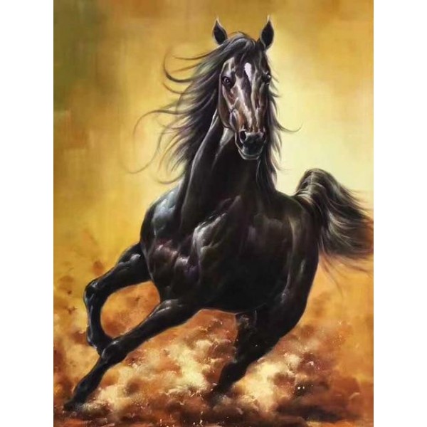 Stunning Black Horse - 5D Diamond Art