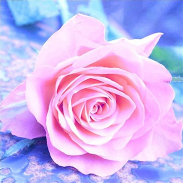 Pink Rose - DIY Diamond Art
