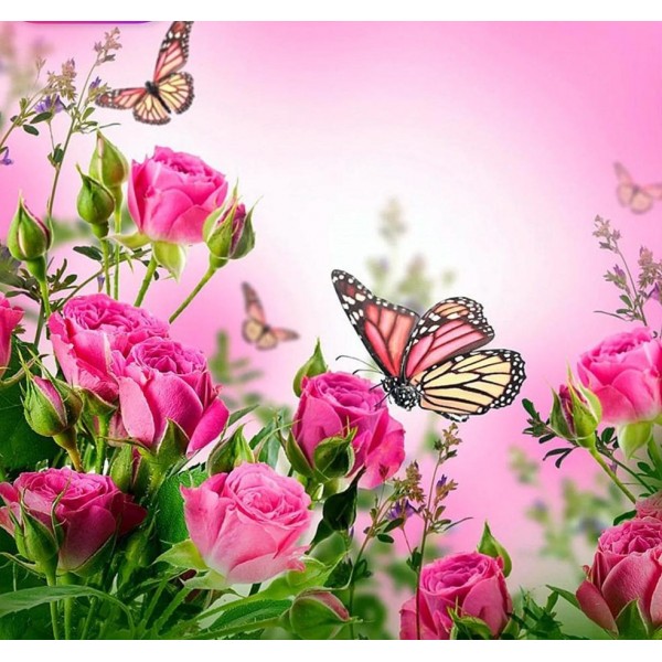Pink Roses & Butterflies - 5D Diamond Art