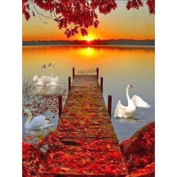 Swans In the lake Diamond Painting