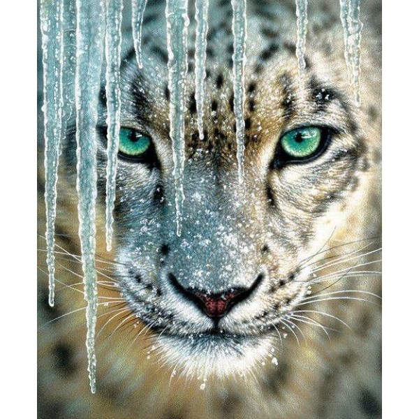Green Eyes Puma Tiger - 5D Diamond Painting set