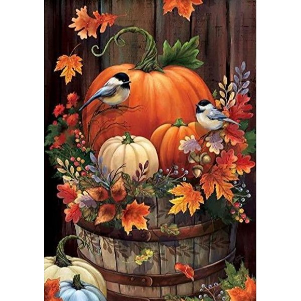 Birds sitting On Pumpkin