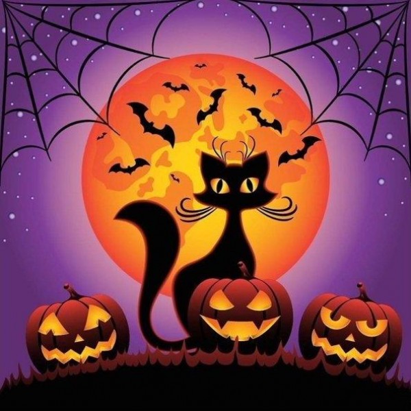 Halloween Pumpkin & Cat - Diamond Art