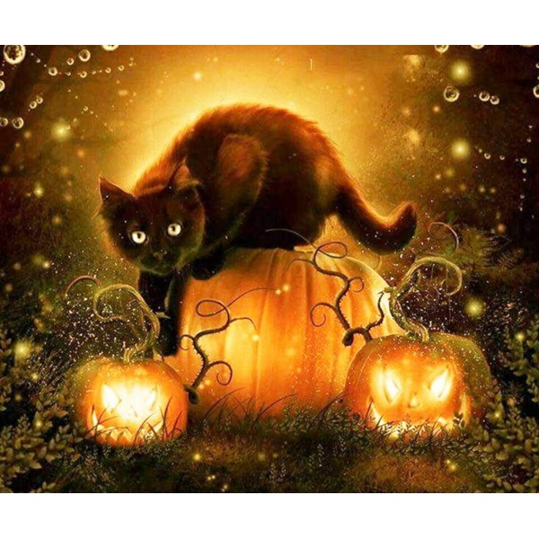 Black Cat & Pumpkin - Halloween Diamond Art