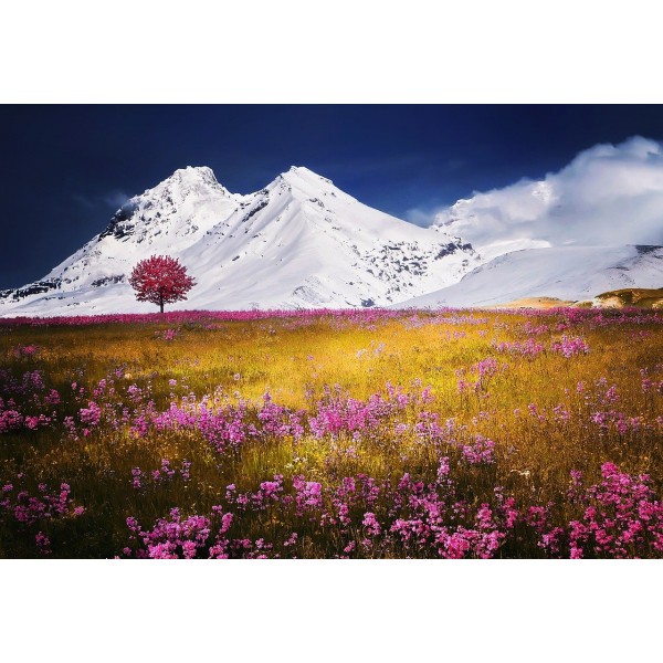 Snow Mountains & Purple Field - Best Diamond Art