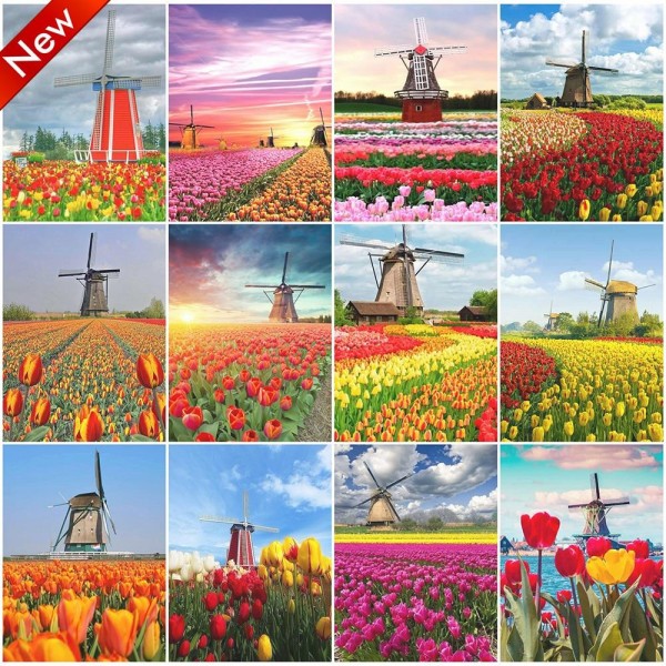 Tulip Flower Field - Best Diamond Painting Kits