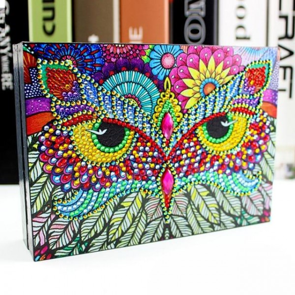 Owl Eyes Special Shaped Diamond Painting Jewelry Box / Storage box