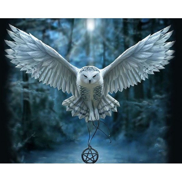 Mighty Owl - Diamond Painting Set