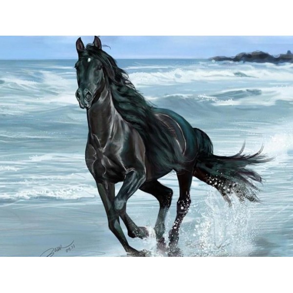 Black Horse Running in Water