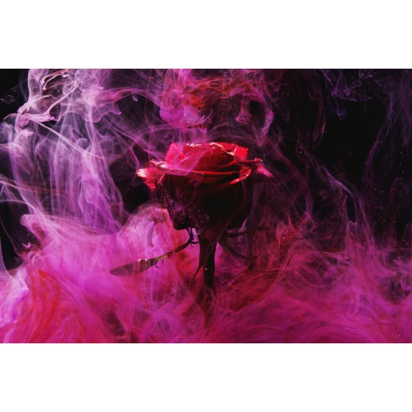 Beautiful Red Rose - DIamond Painting Kit