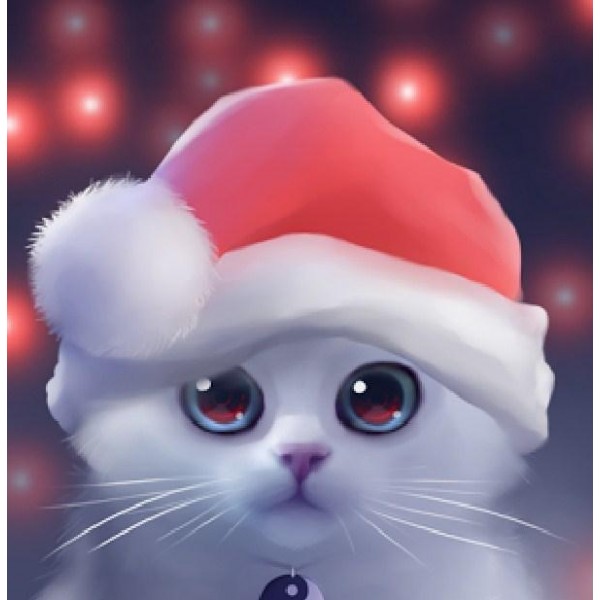 Cute Cat with Christmas Hat