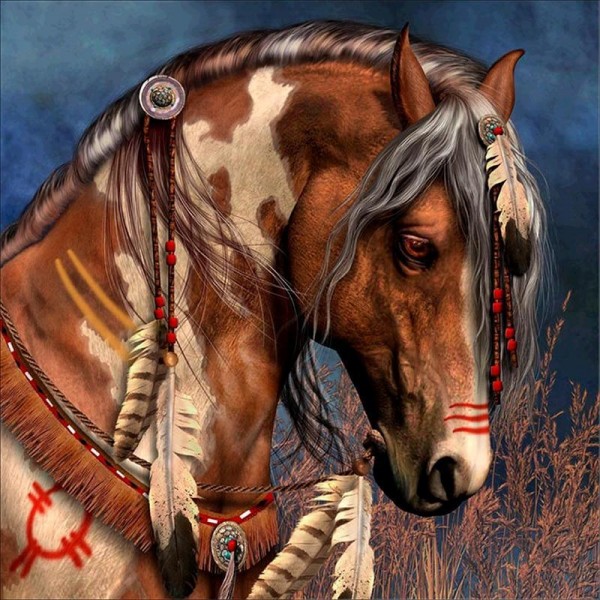 Cherokee Native American Horse